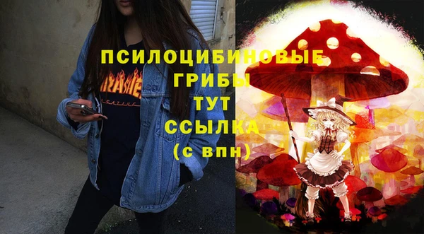 каннабис Новозыбков